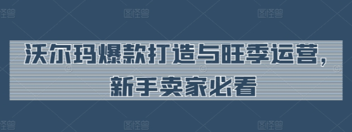 沃尔玛爆款打造与旺季运营 新手卖家必看-虚拟资源库