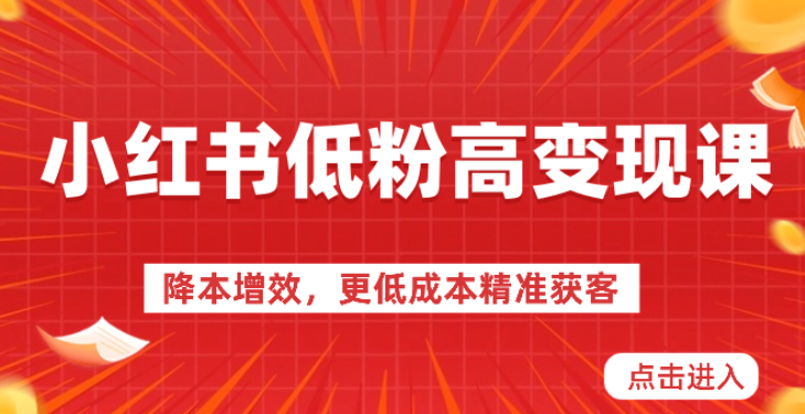 小红书低粉高变现课-降本增效 更低成本精准获客 小红书必爆的流量密码-虚拟资源库