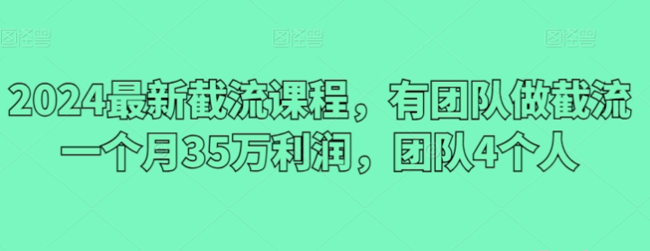 2024最新截流课程 有团队做截流一个月35万利润 团队4个人-虚拟资源库