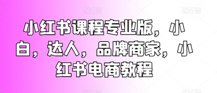 小红书课程专业版 小白，达人，品牌商家，小红书电商教程-虚拟资源库