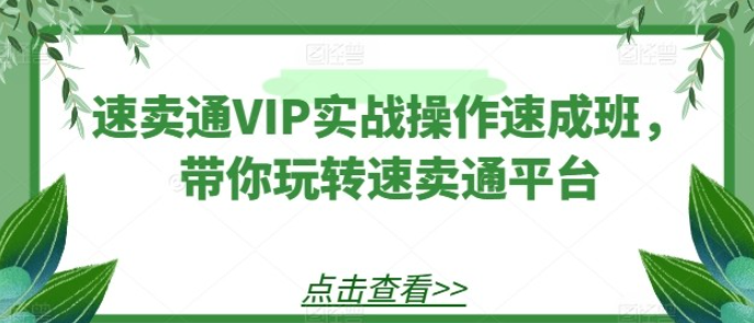 【速卖通】速卖通VIP实战操作速成班，带你玩转速卖通平台-虚拟资源库