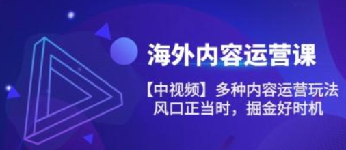 海外内容运营课【中视频】多种内容运营玩法 风口正当时 掘金好时机（101节）-虚拟资源库