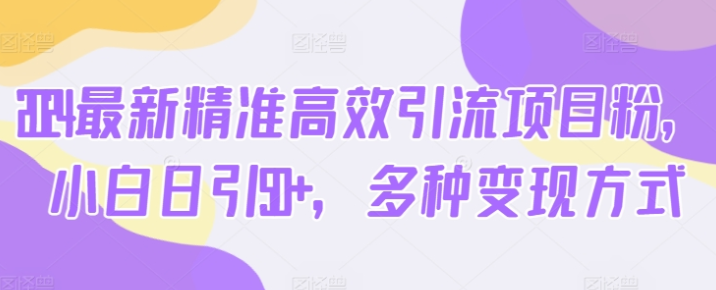 2024最新精准高效引流项目粉 小白日引50+ 多种变现方式-虚拟资源库