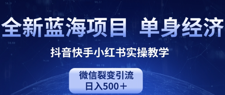 全新蓝海项目 单身经济抖音快手小红书实操教学 微信裂变引流日入500+-虚拟资源库