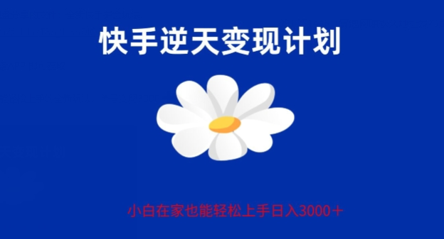 快手全新偏门玩法 小白也能轻松上手的全新玩法 单号变现3000 支持矩阵操作-虚拟资源库