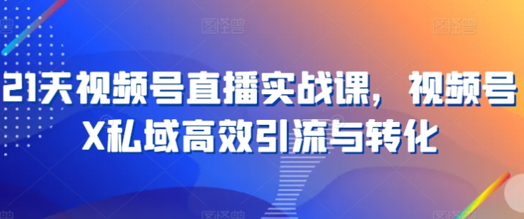 21天视频号直播实战课 视频号X私域高效引流与转化-虚拟资源库