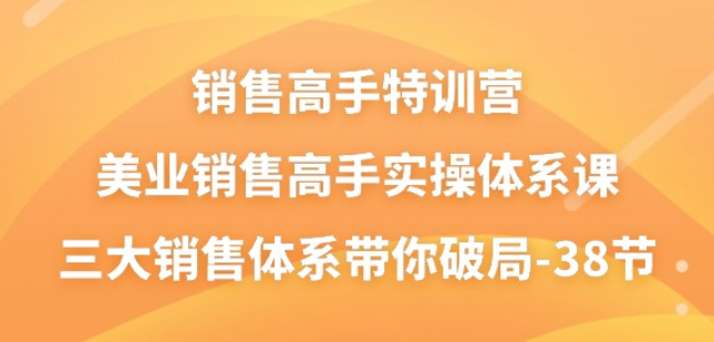 销售高手特训营 美业销售高手实操体系课 三大销售体系带你破局（38节课）-虚拟资源库