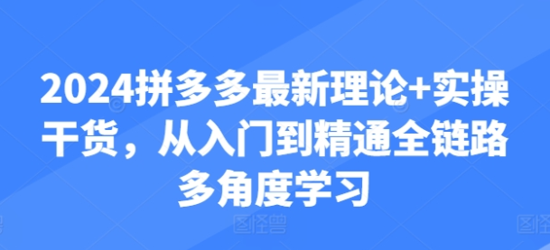 2024拼多多最新理论+实操干货 从入门到精通全链路多角度学习-虚拟资源库