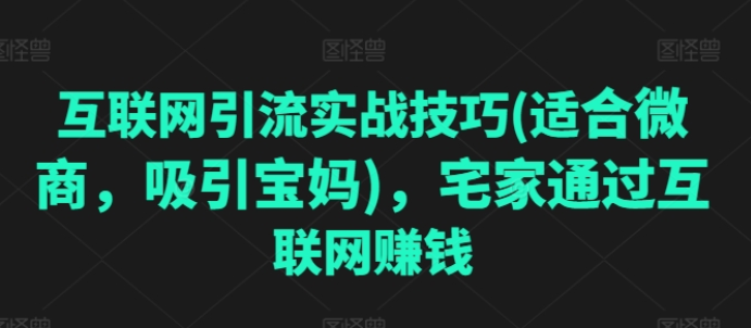 互联网引流实战技巧(适合微商，吸引宝妈) 宅家通过互联网赚钱-虚拟资源库