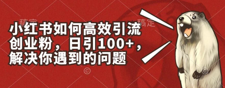 小红书如何高效引流创业粉 日引100+ 解决你遇到的问题-虚拟资源库