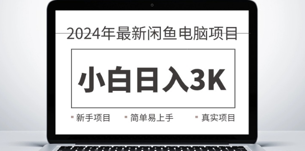 2024最新闲鱼卖电脑项目 新手小白日入3K+ 最真实的项目教学-虚拟资源库