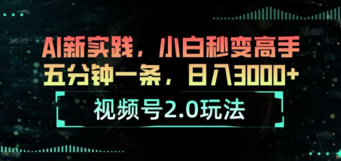 视频号2.0玩法 AI新实践 小白秒变高手 五分钟一条 小白变高手-虚拟资源库