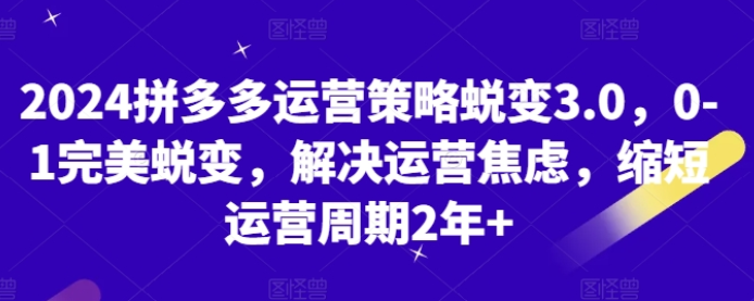 2024拼多多运营策略蜕变3.0 0-1完美蜕变 解决运营焦虑 缩短运营周期2年+-虚拟资源库