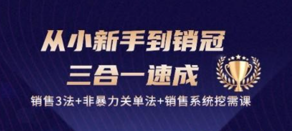 从小新手到销冠 三合一速成：销售3法+非暴力关单法+销售系统挖需课 (27节)-虚拟资源库