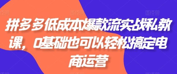 【低成本爆款流】拼多多低成本爆款流实战私教课，0基础也可以轻松搞定电商运营-虚拟资源库