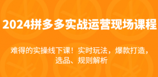 图片[1]-拼多多实战运营现场课 实时玩法 爆款打造 选品、规则解析 难得的实操线下课！-虚拟资源库