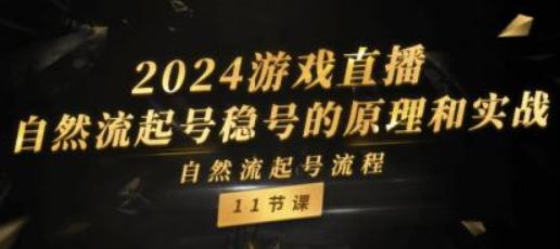 游戏直播自然流起号稳号的原理和实战 自然流起号流程（11节课）-虚拟资源库