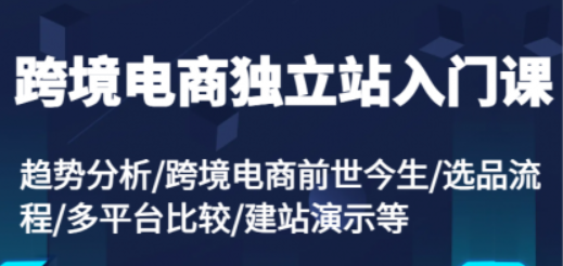 图片[1]-跨境电商独立站入门课 趋势分析/跨境电商前世今生/选品流程/多平台比较/建站演示等-虚拟资源库