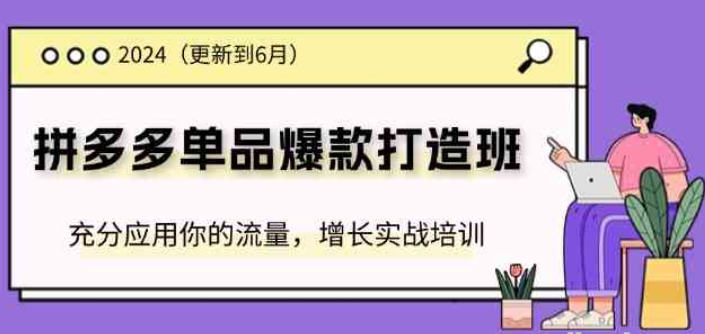 2024拼多多单品爆款打造班 充分应用你的流量 增长实战培训(更新6月)-虚拟资源库