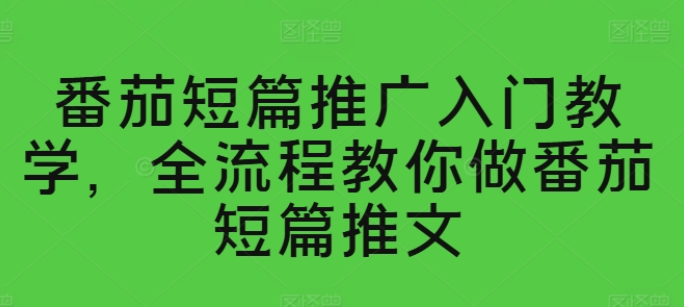 番茄短篇推广入门教学 全流程教你做番茄短篇推文-虚拟资源库