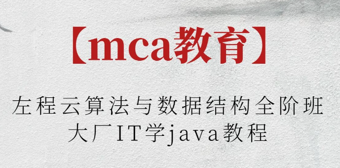 【mca教育】左程云算法与数据结构全阶班大厂IT学java教程-虚拟资源库