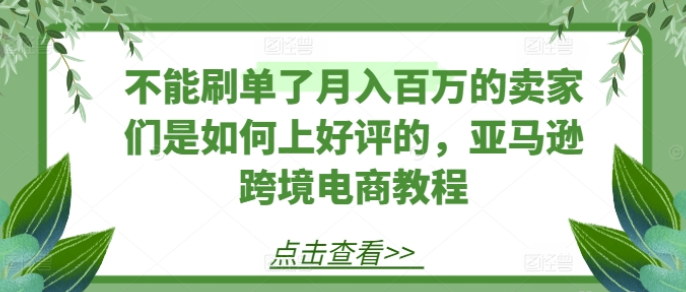 亚马逊跨境电商教程 月入百万的卖家们是如何上好评的-虚拟资源库