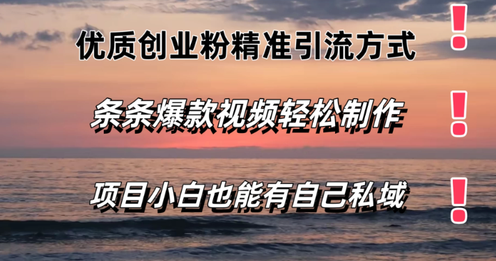 优质创业粉精准引流方式 条条视频爆款 小白也能轻松拥有自己的私域！-虚拟资源库