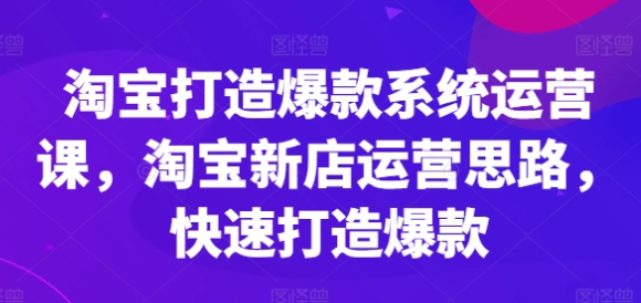 淘宝打造爆款系统运营课 淘宝新店运营思路 快速打造爆款-虚拟资源库