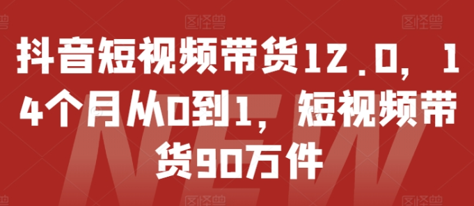 抖音短视频带货12.0 14个月从0到1 短视频带货90万件-虚拟资源库