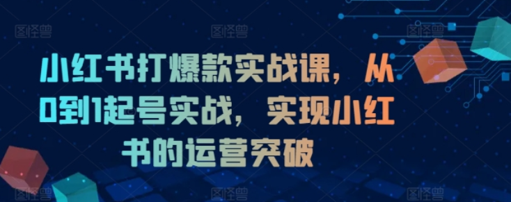 图片[1]-小红书打爆款实战课 从0到1起号实战 实现小红书的运营突破-虚拟资源库